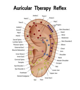 auriculothérapie points