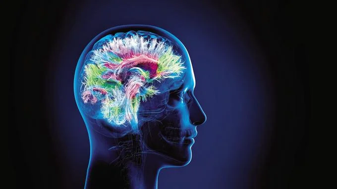 reprogrammer son cerveau